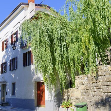 Apartments Smile By Rent Istria Grožnjan Rum bild